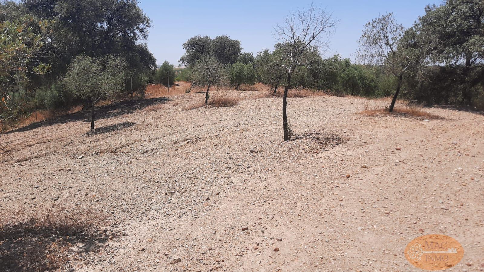 Venta de terreno en Puerto Serrano
