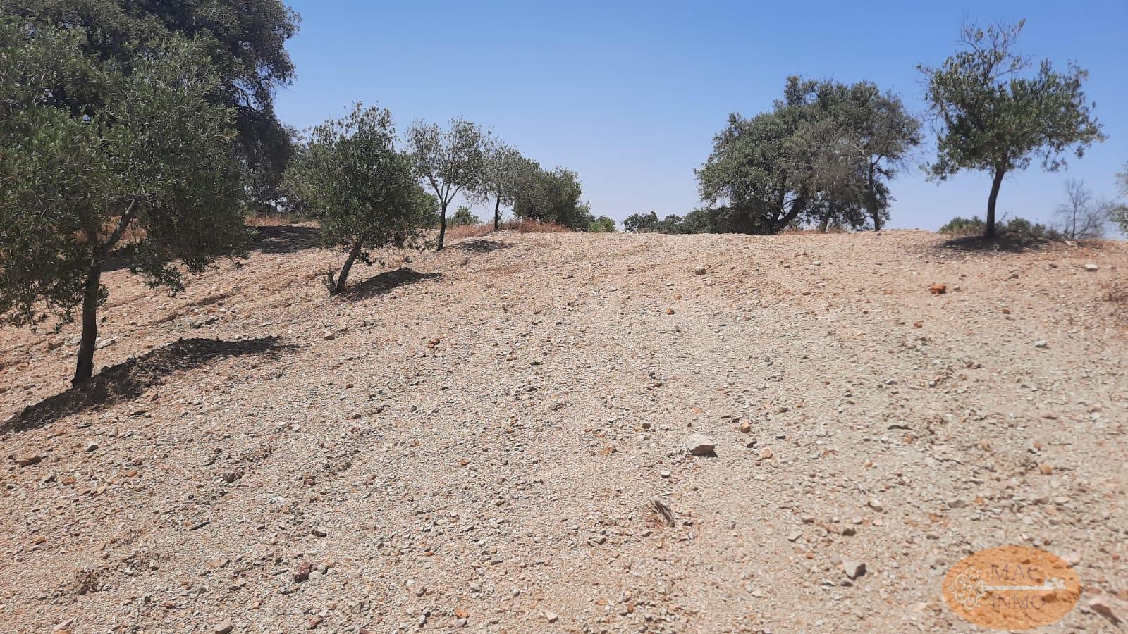 Venta de terreno en Puerto Serrano