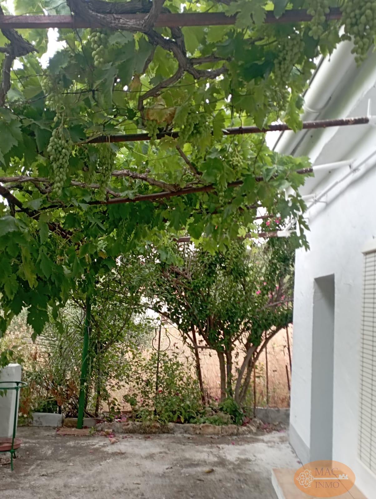 For sale of rural property in Puerto Serrano