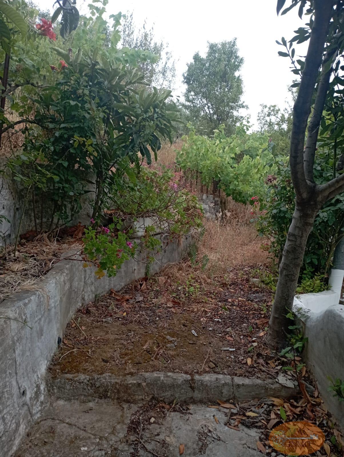 For sale of rural property in Puerto Serrano