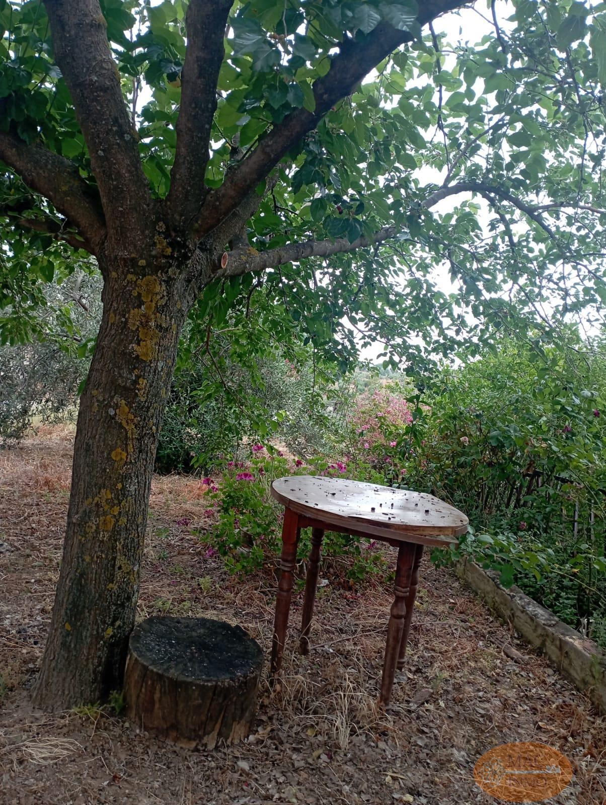 For sale of rural property in Puerto Serrano