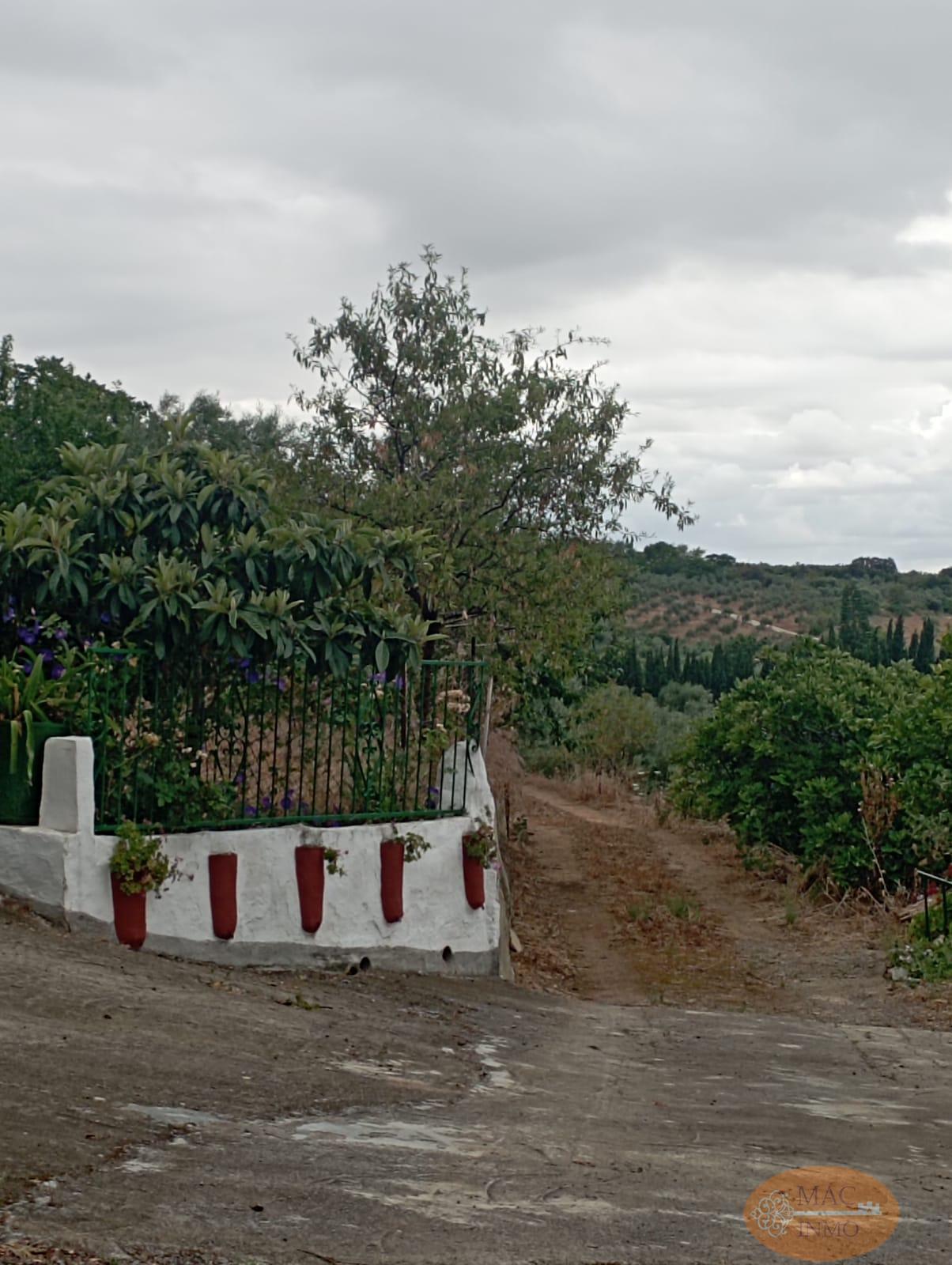 For sale of rural property in Puerto Serrano