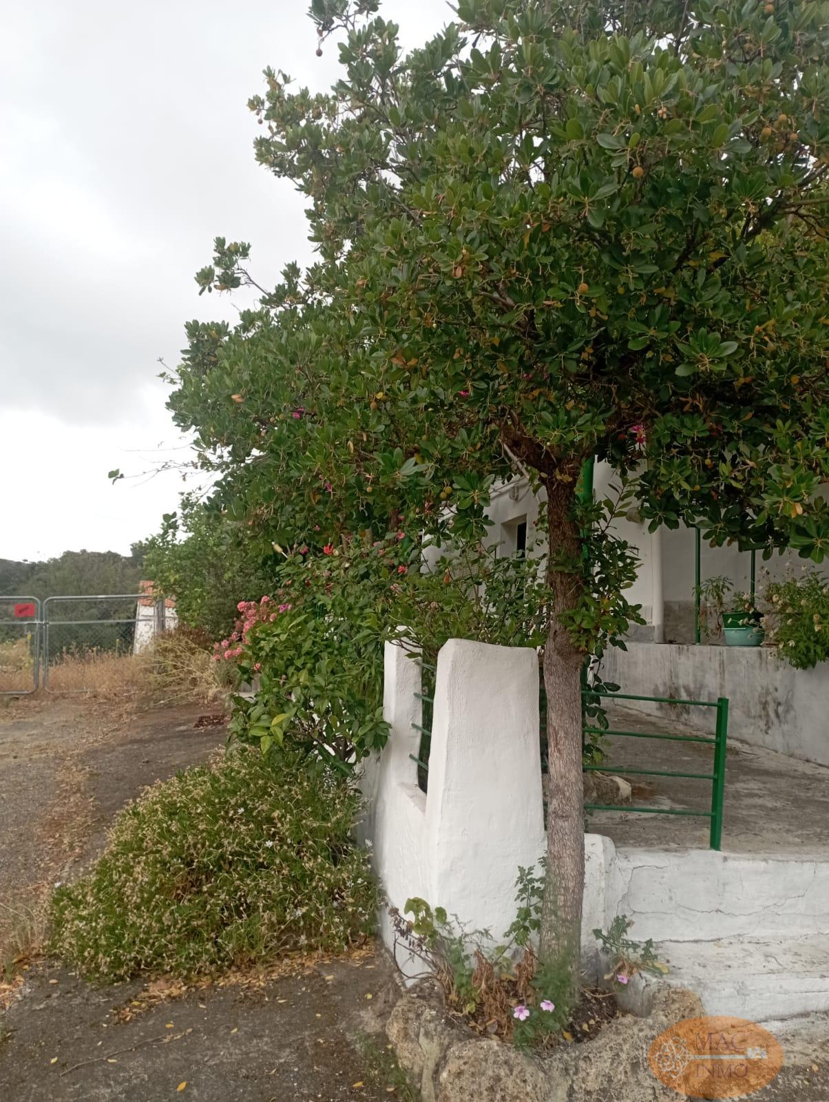 For sale of rural property in Puerto Serrano