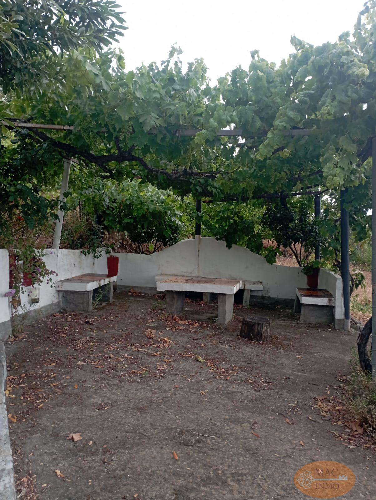 For sale of rural property in Puerto Serrano