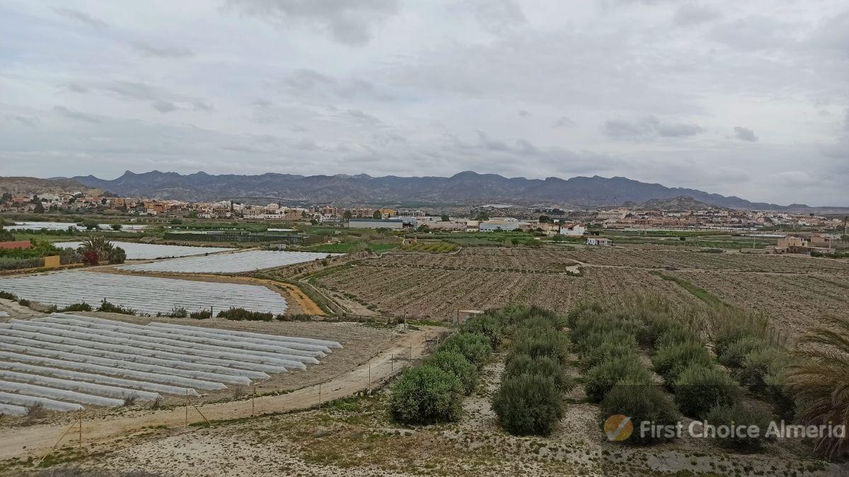 Venta de finca rústica en Cuevas del Almanzora