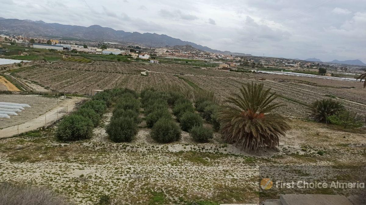 Venta de finca rústica en Cuevas del Almanzora