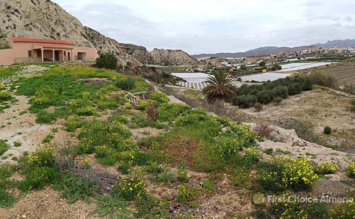 Venta de finca rústica en Cuevas del Almanzora