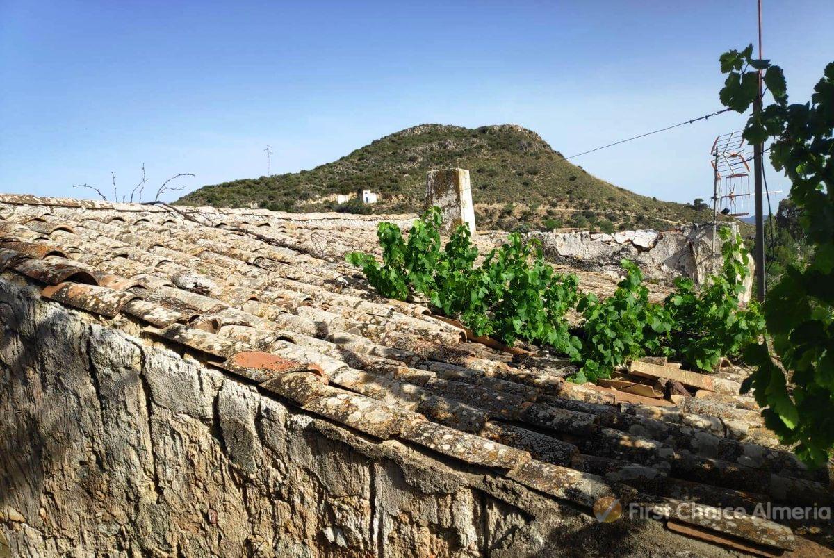 Venta de finca rústica en Bédar