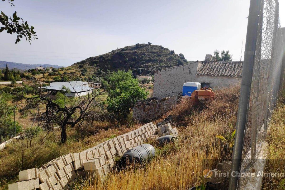 Venta de finca rústica en Bédar