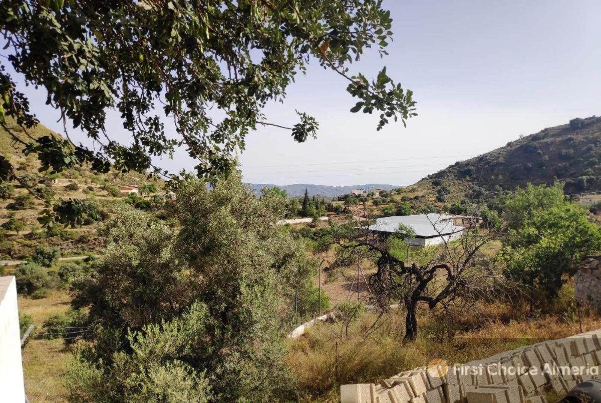 Venta de finca rústica en Bédar