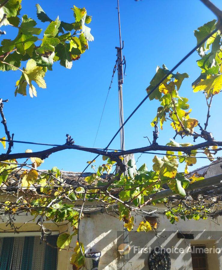 Venta de finca rústica en Bédar