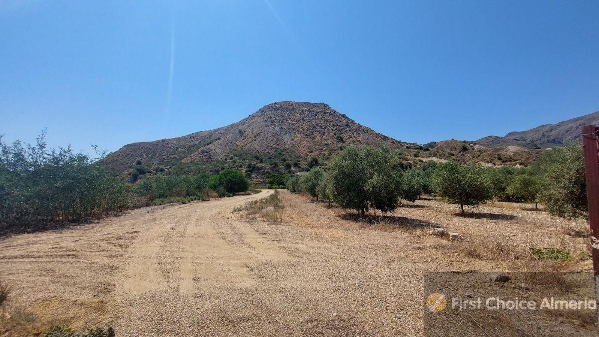 For sale of rural property in Mojácar