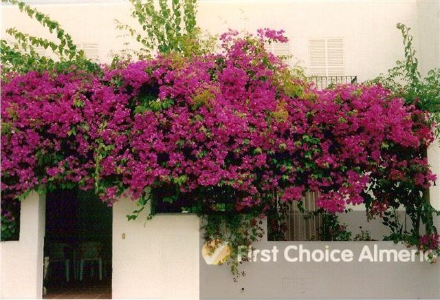 For sale of duplex in Mojácar