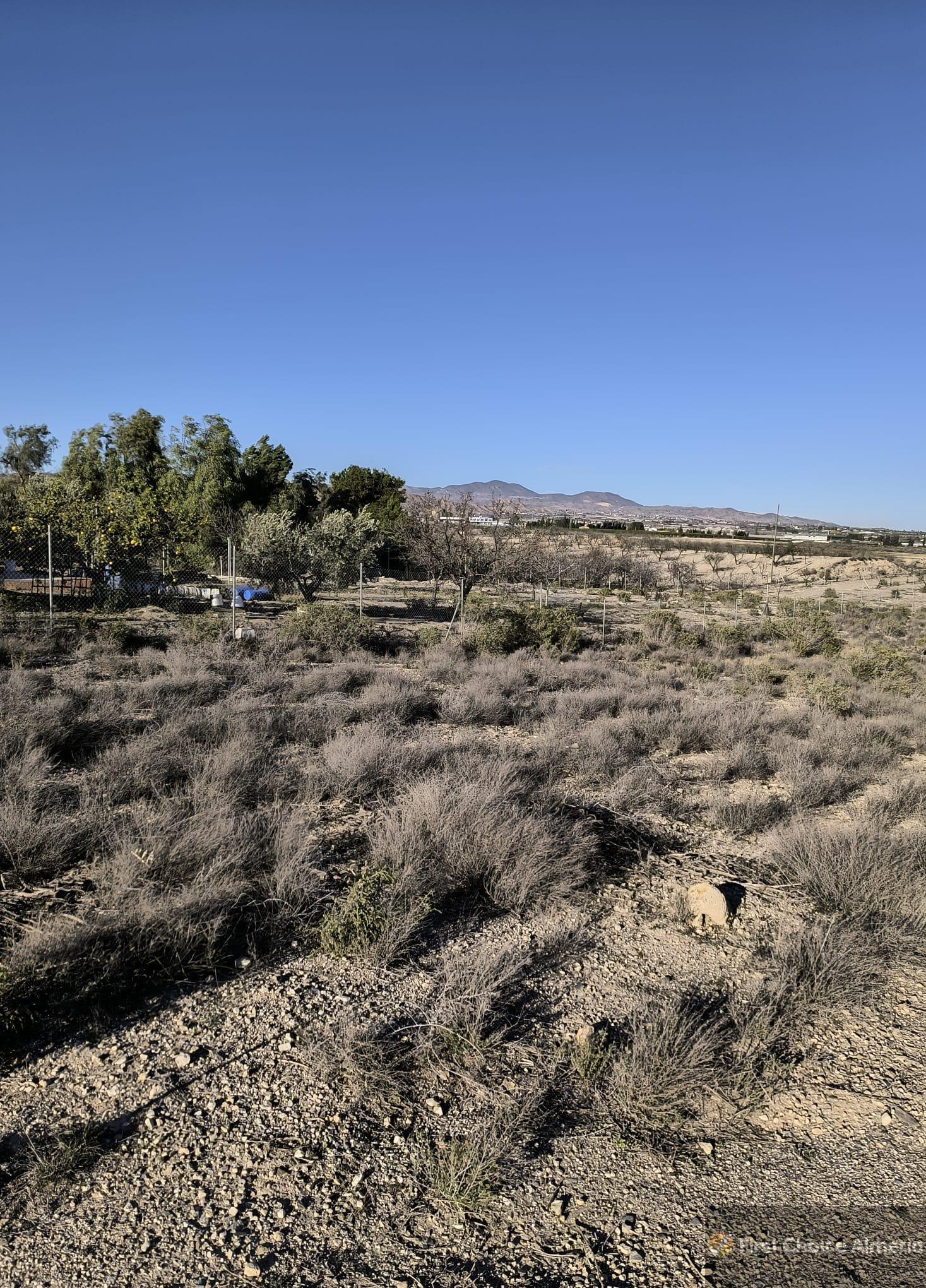 Venta de finca rústica en Huércal-Overa