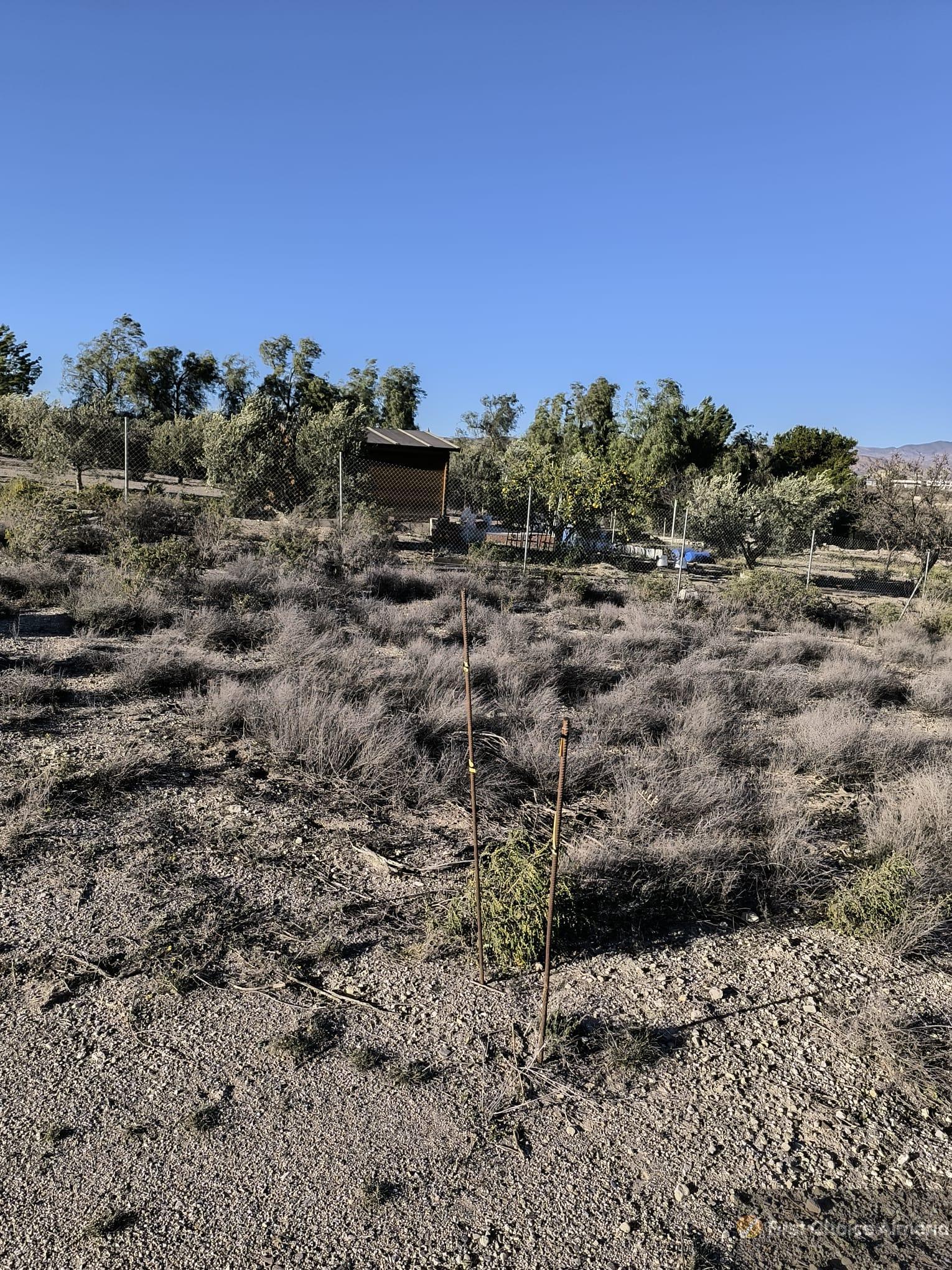 Venta de finca rústica en Huércal-Overa
