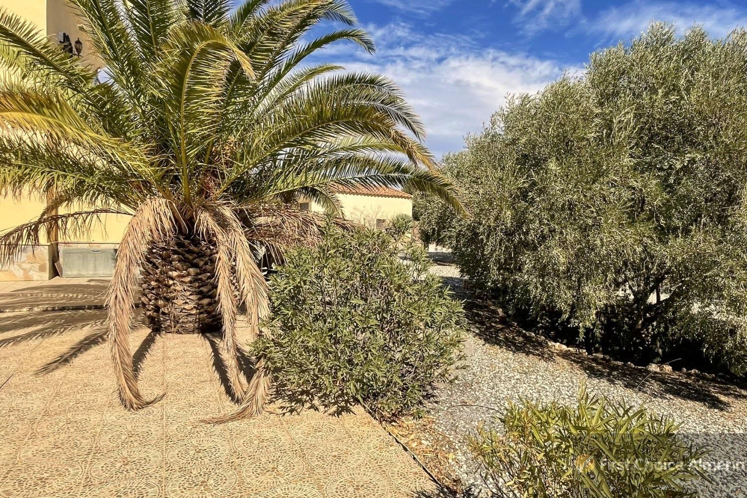 For sale of apartment in Albox