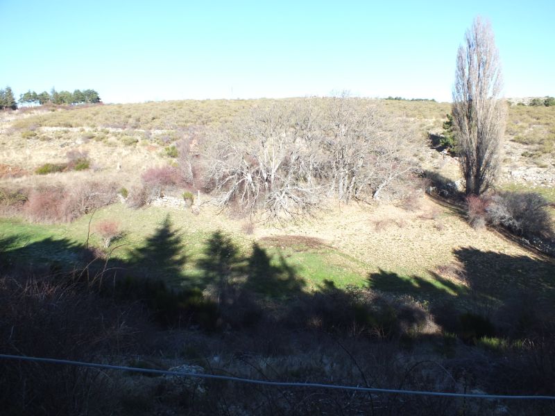 For sale of land in Peguerinos