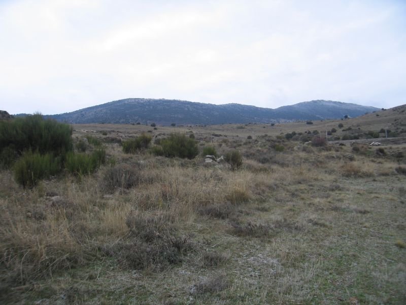 Venta de finca rústica en Zarzalejo