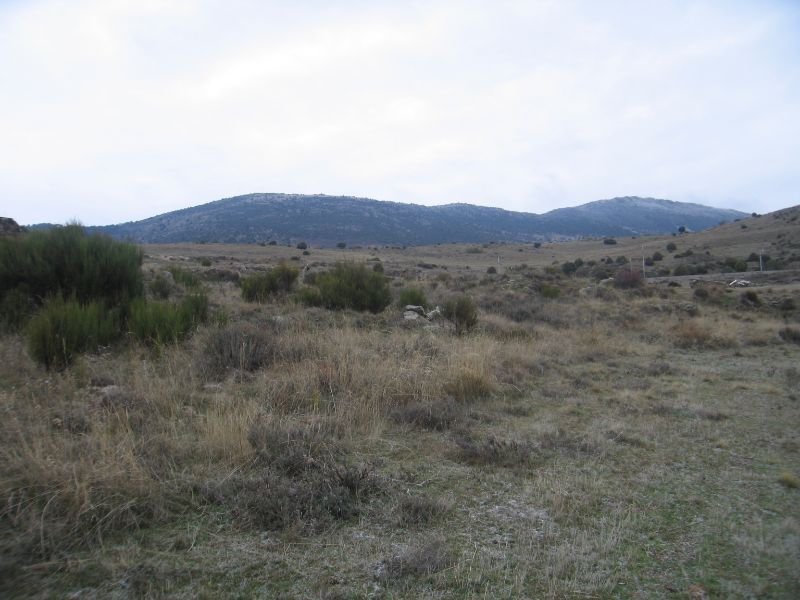 For sale of rural property in Zarzalejo