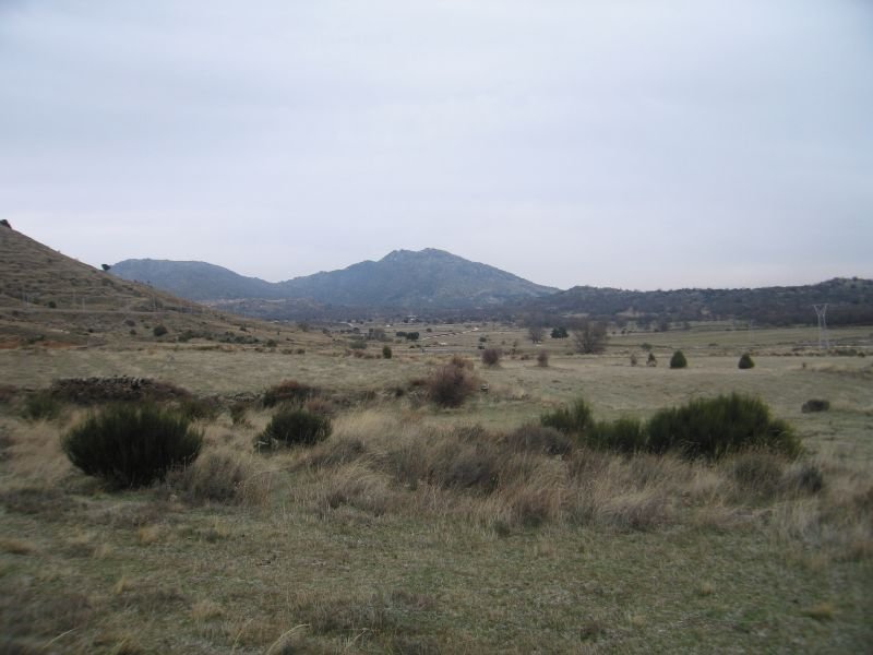 Venta de finca rústica en Zarzalejo