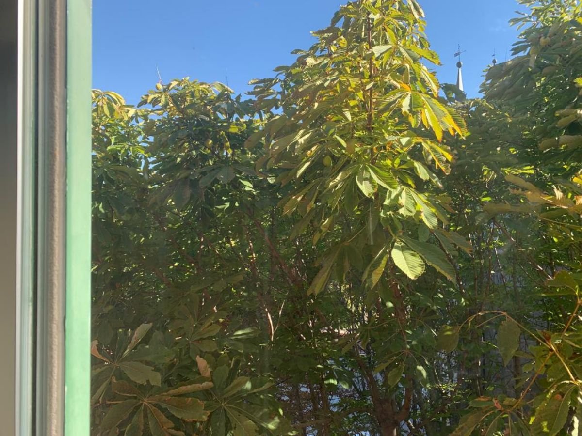 Alquiler de piso en San Lorenzo de El Escorial