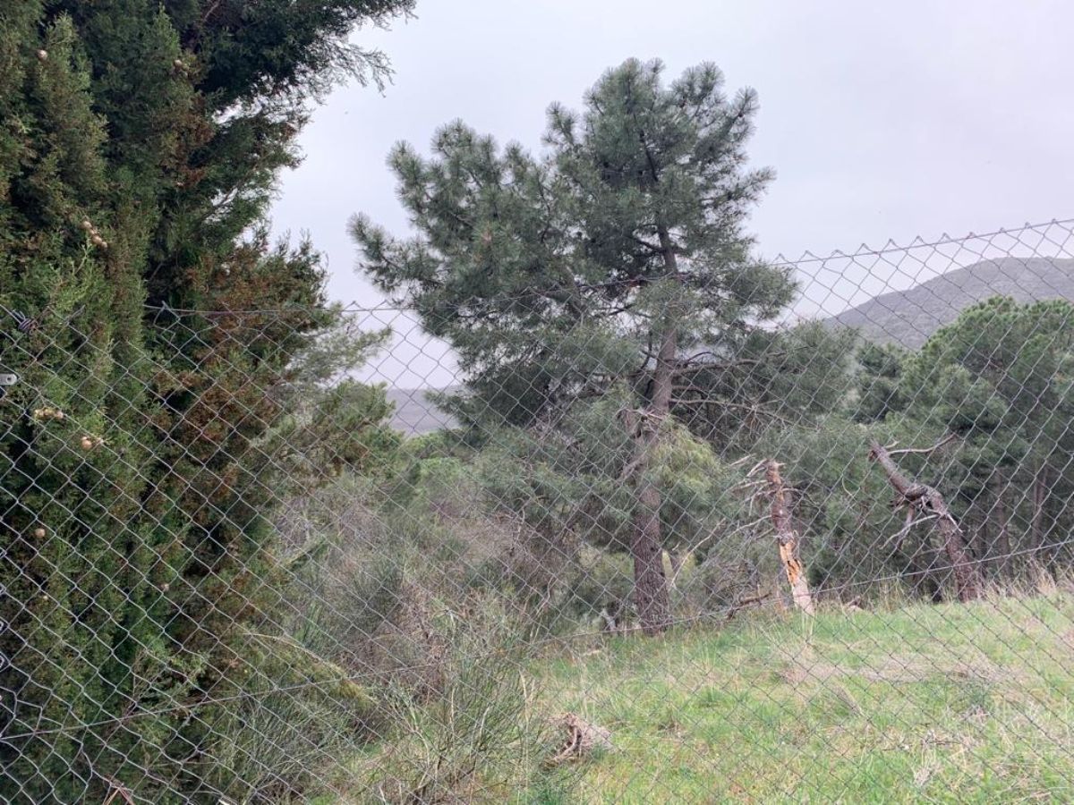 Venta de terreno en San Lorenzo de El Escorial