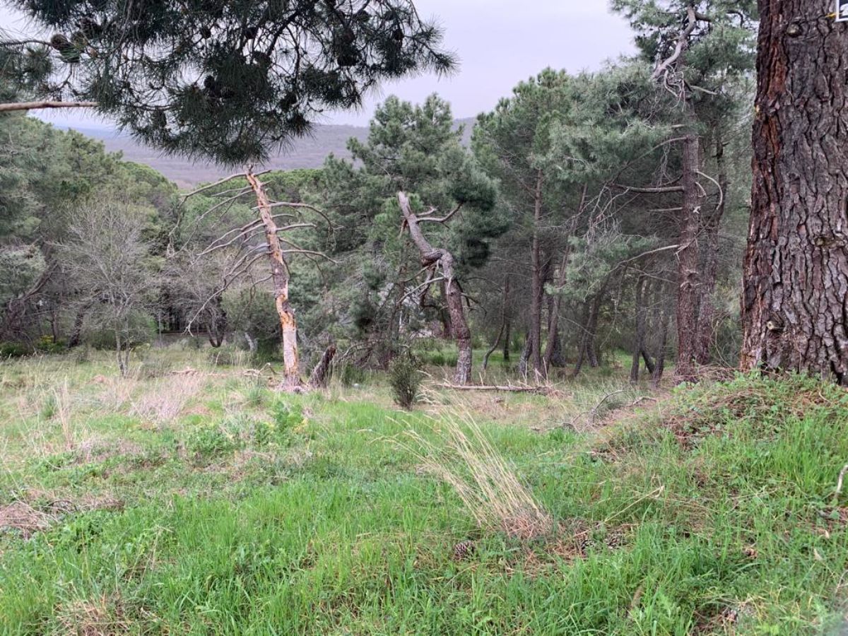 For sale of land in San Lorenzo de El Escorial