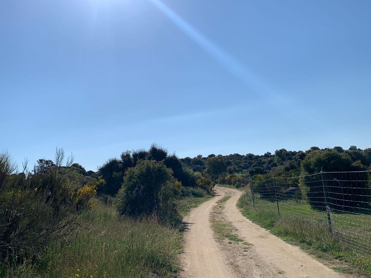 Venta de finca rústica en Robledo de Chavela