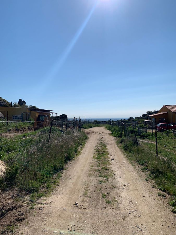Venta de finca rústica en Robledo de Chavela