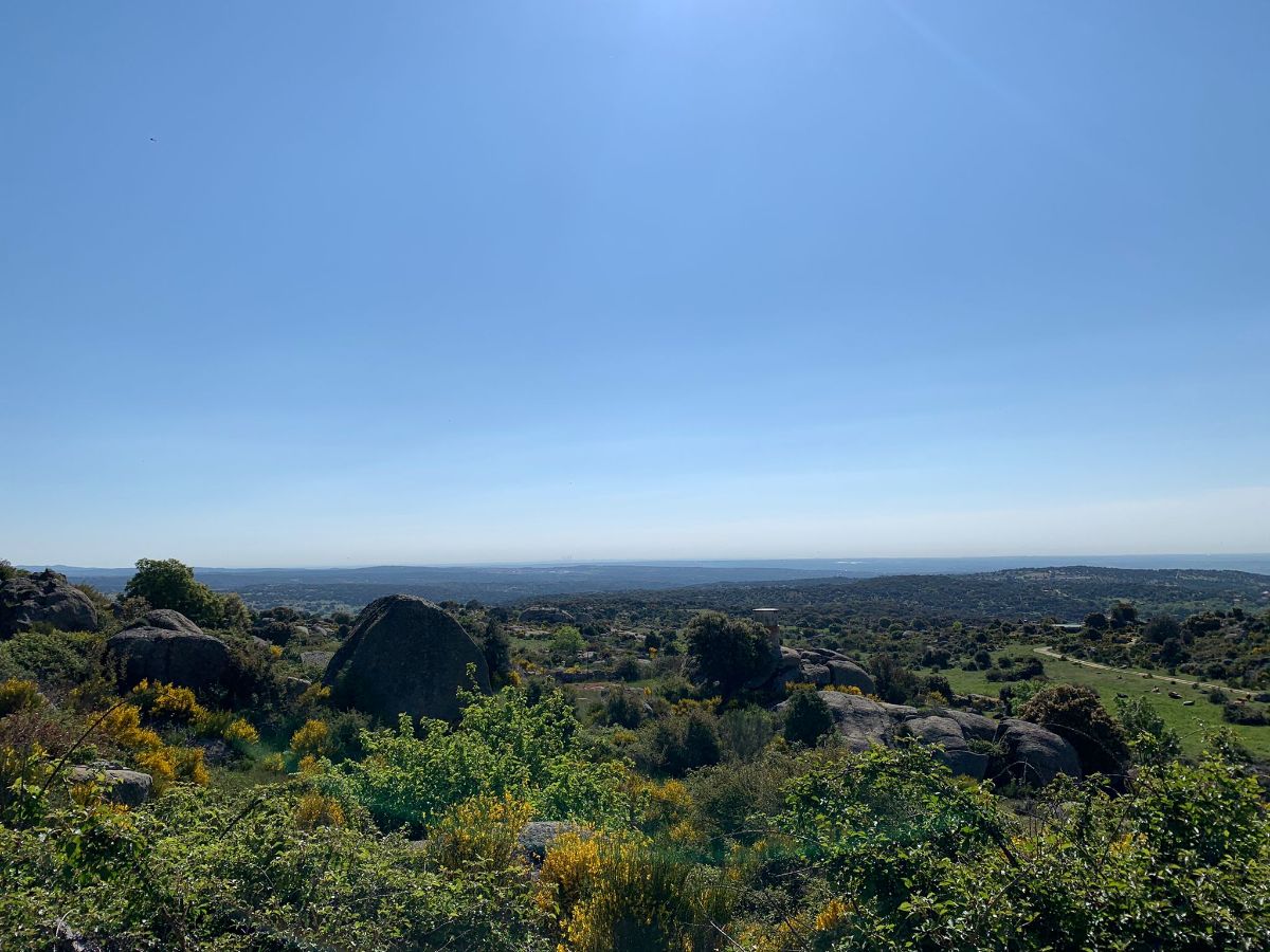 Venta de finca rústica en Robledo de Chavela