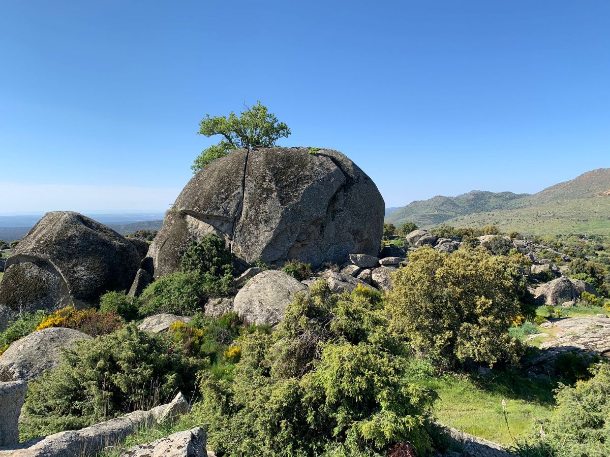 Venta de finca rústica en Robledo de Chavela