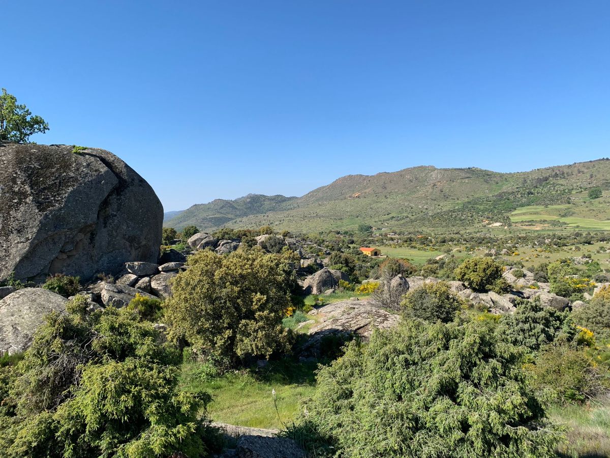 Venta de finca rústica en Robledo de Chavela