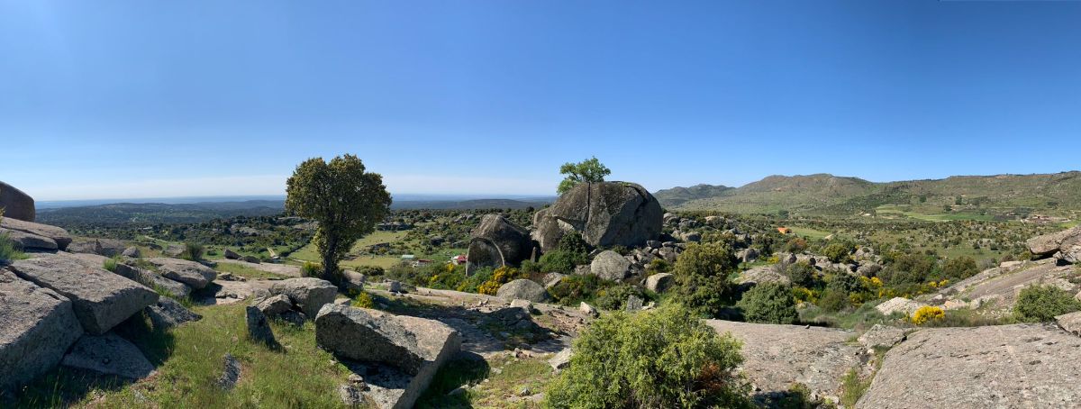 Venta de finca rústica en Robledo de Chavela