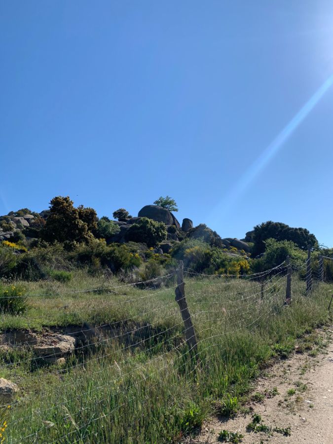 Venta de finca rústica en Robledo de Chavela