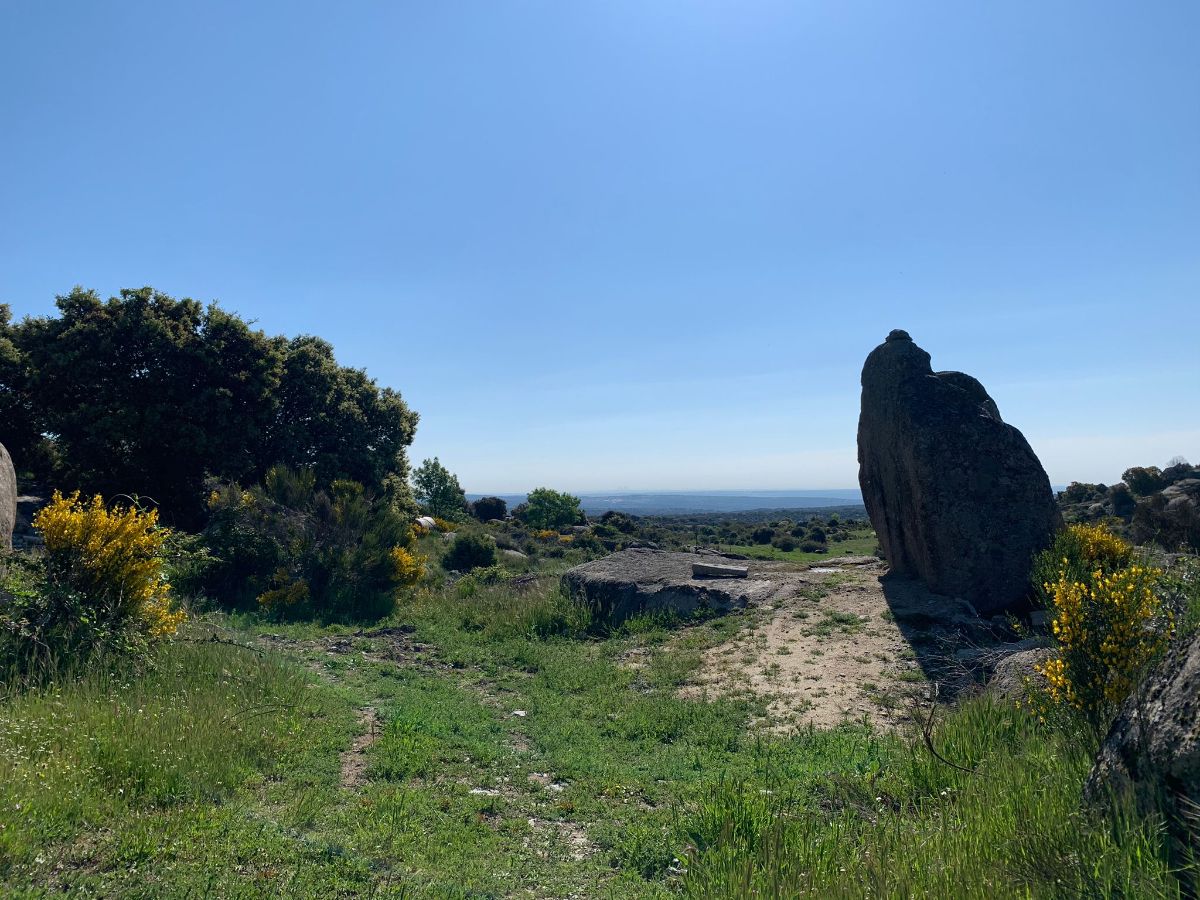 Venta de finca rústica en Robledo de Chavela