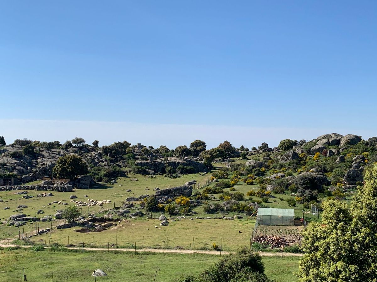 Venta de finca rústica en Robledo de Chavela