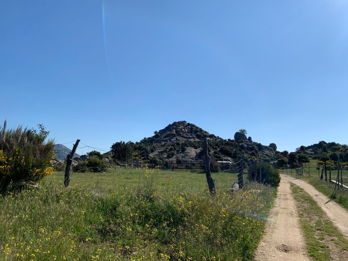 Venta de finca rústica en Robledo de Chavela