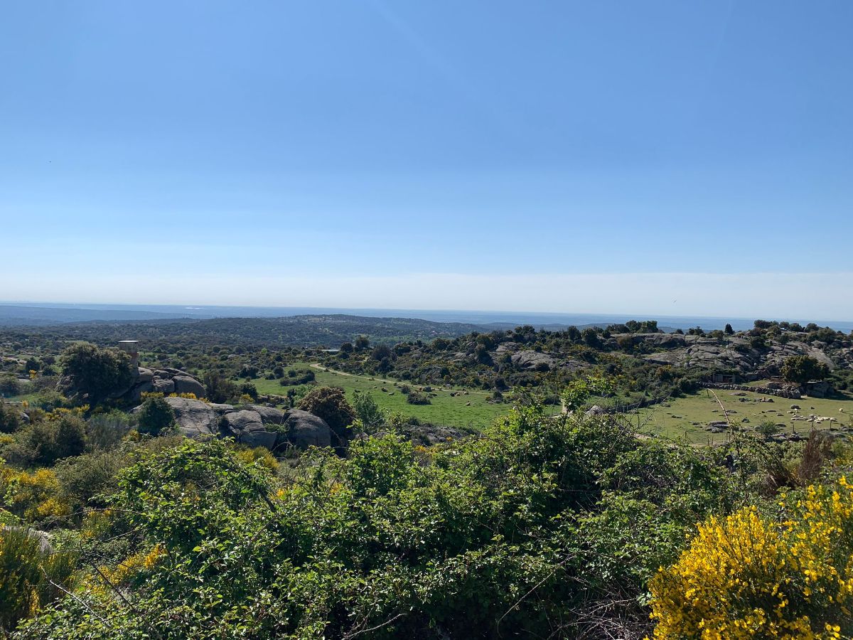 Venta de finca rústica en Robledo de Chavela