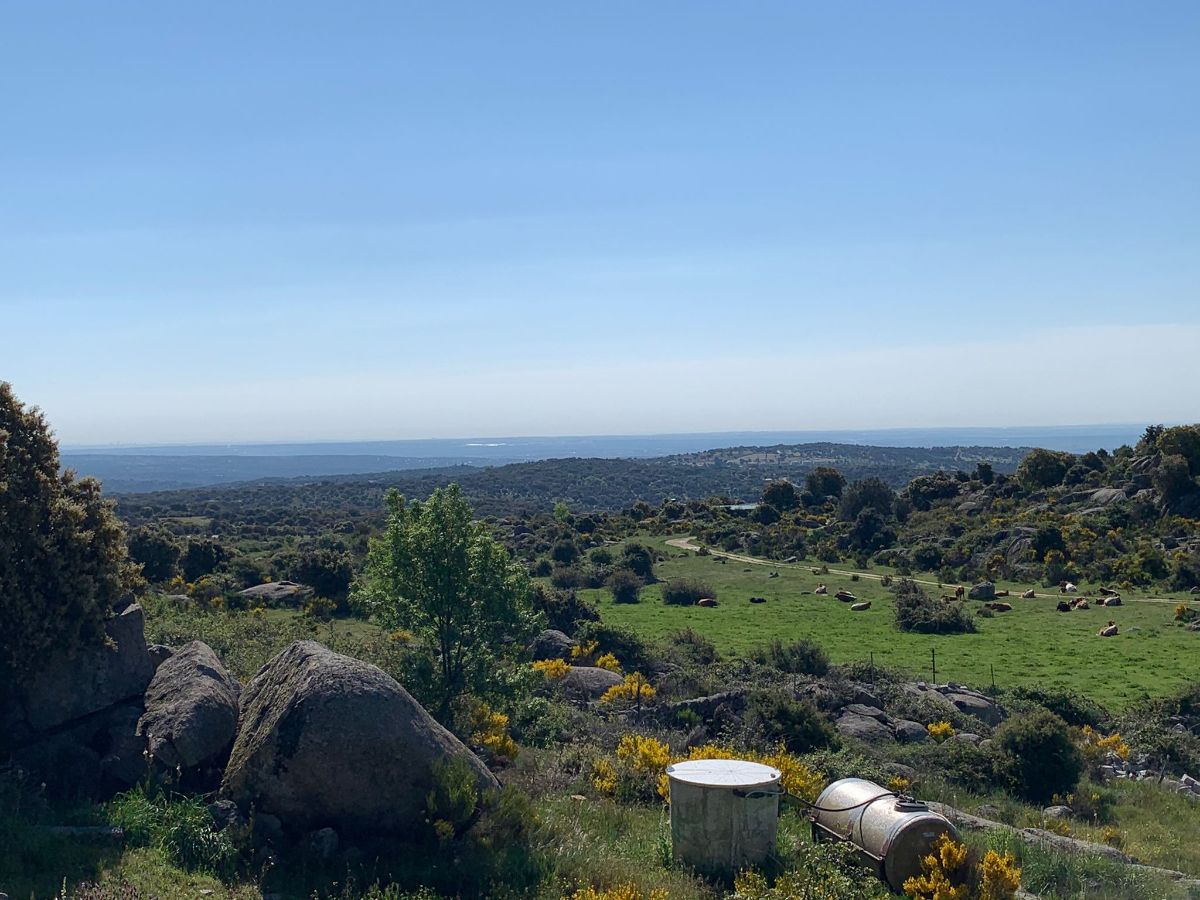 Venta de finca rústica en Robledo de Chavela