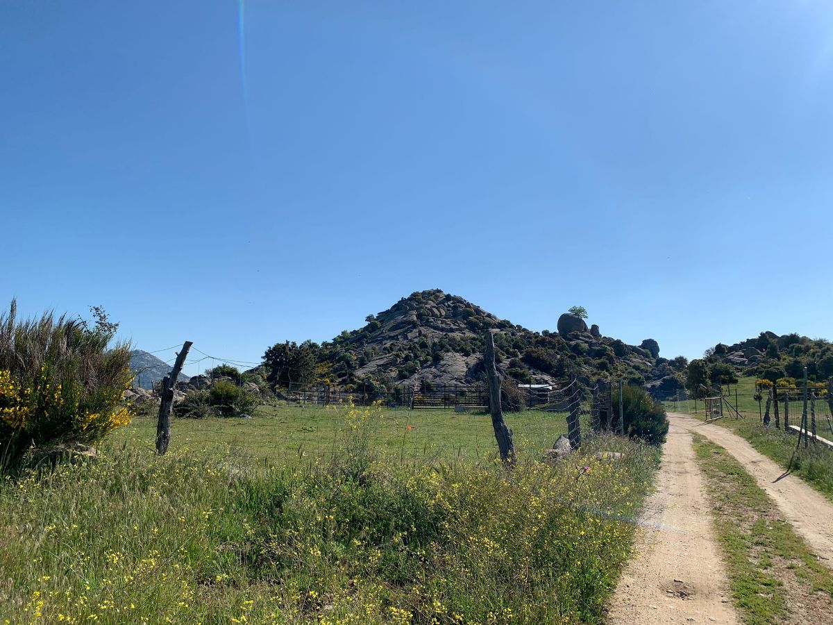 For sale of rural property in Robledo de Chavela