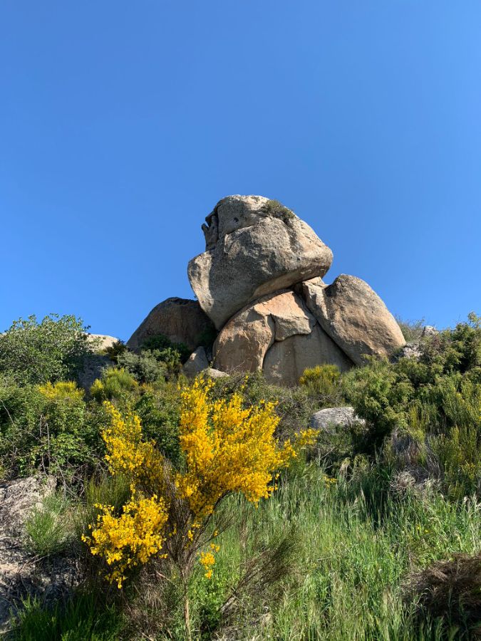 For sale of rural property in Robledo de Chavela