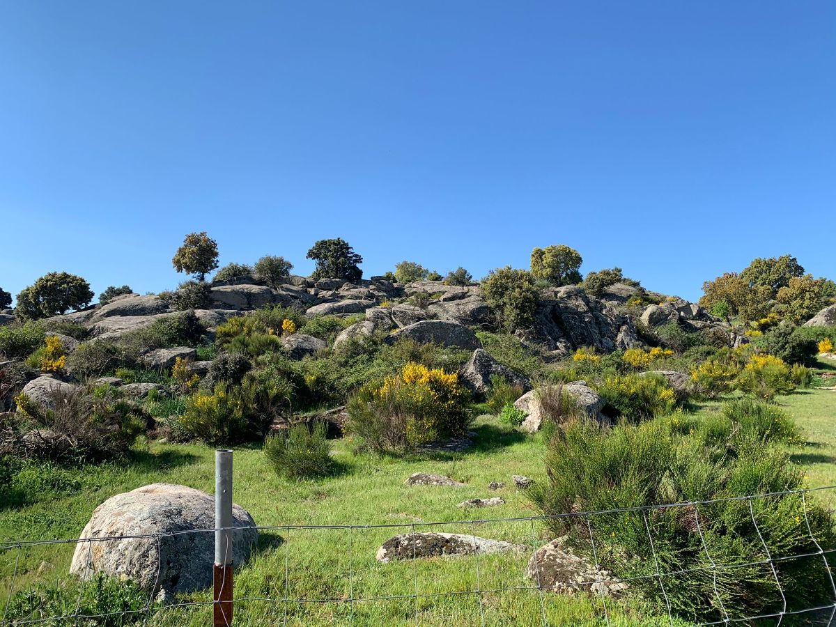 For sale of rural property in Robledo de Chavela