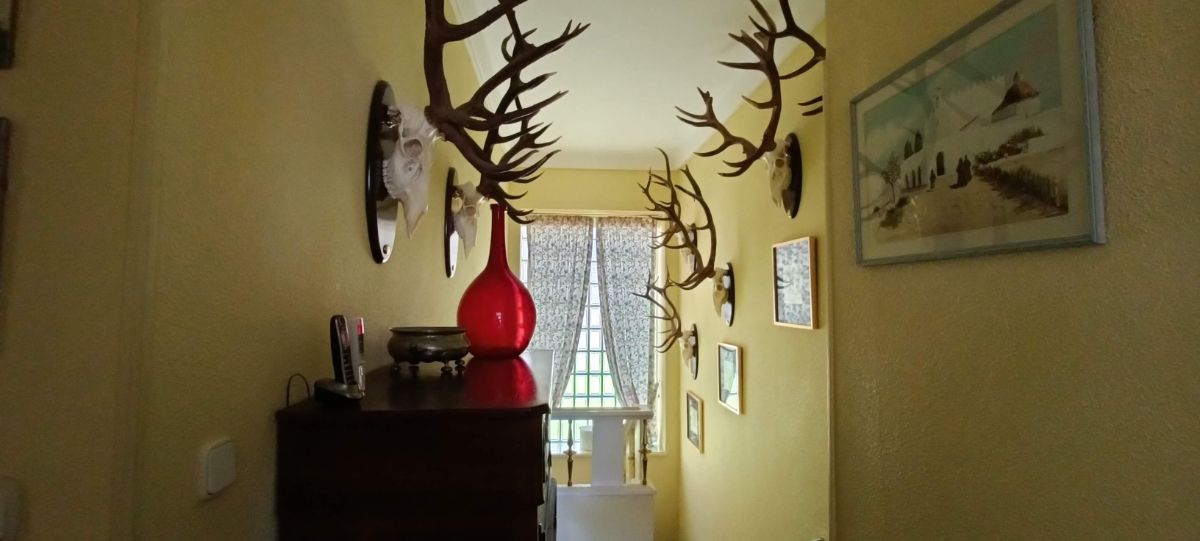 For sale of chalet in San Lorenzo de El Escorial