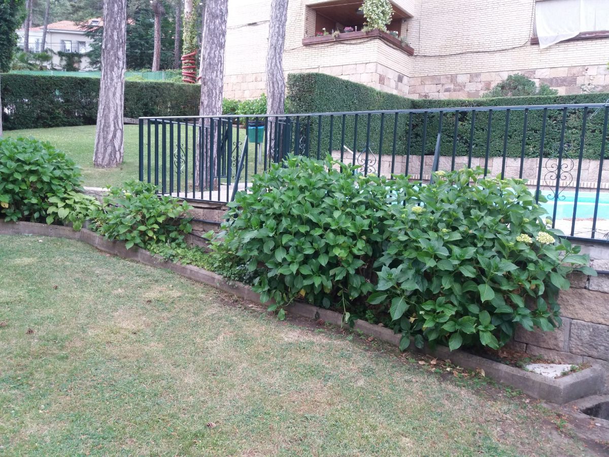 Alquiler de piso en San Lorenzo de El Escorial