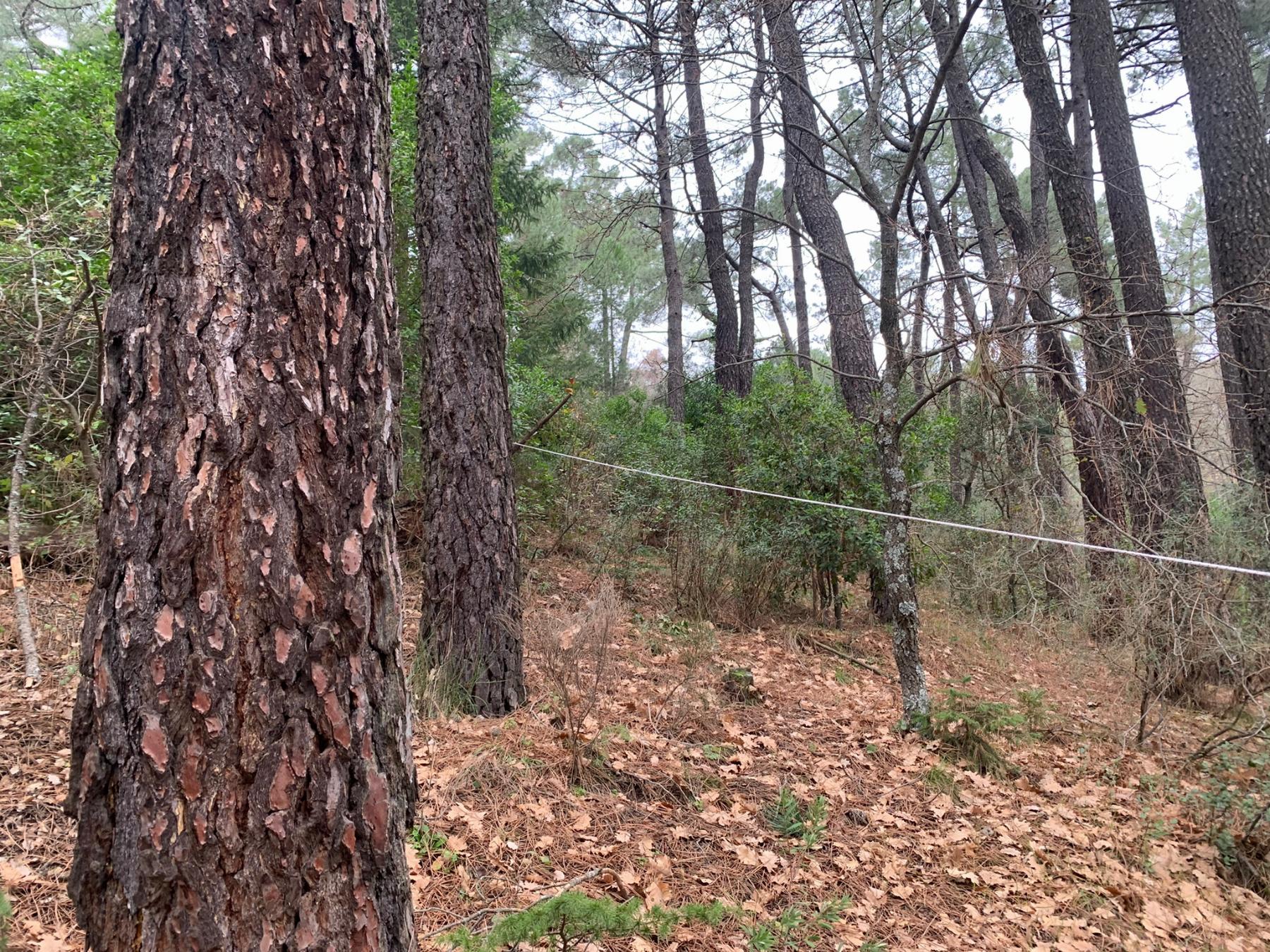 Venta de terreno en San Lorenzo de El Escorial