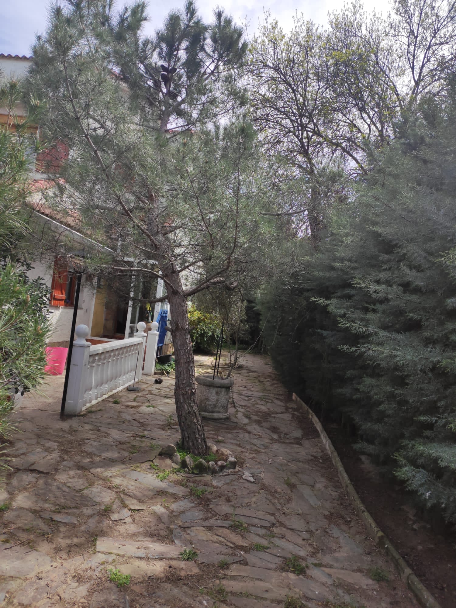 For sale of chalet in Moralzarzal