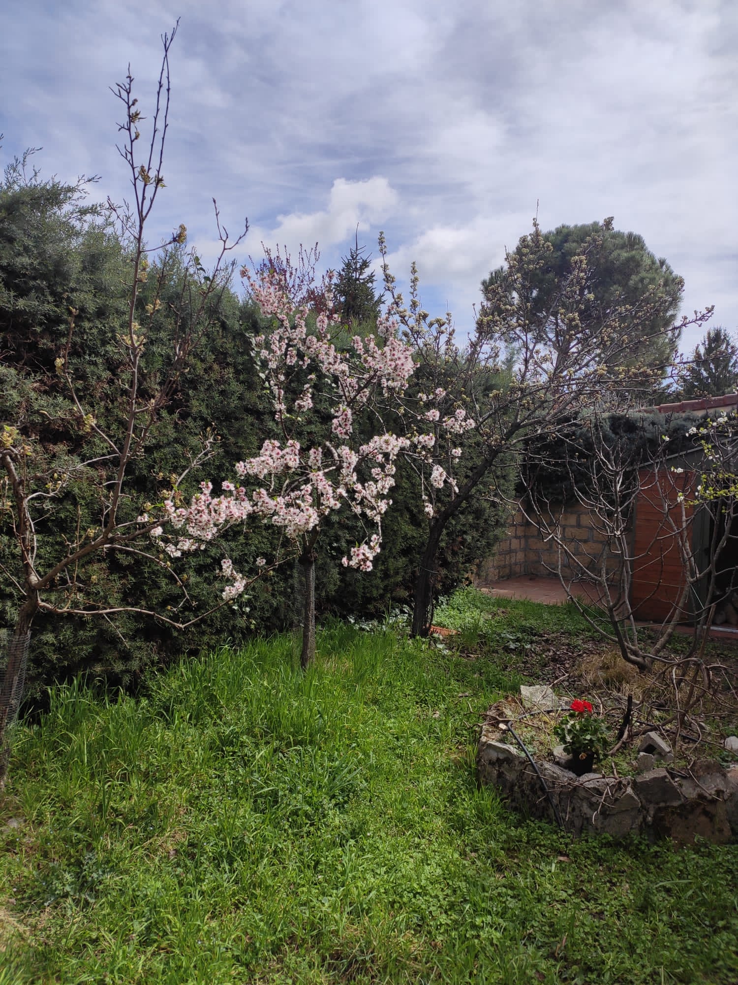 For sale of chalet in Moralzarzal