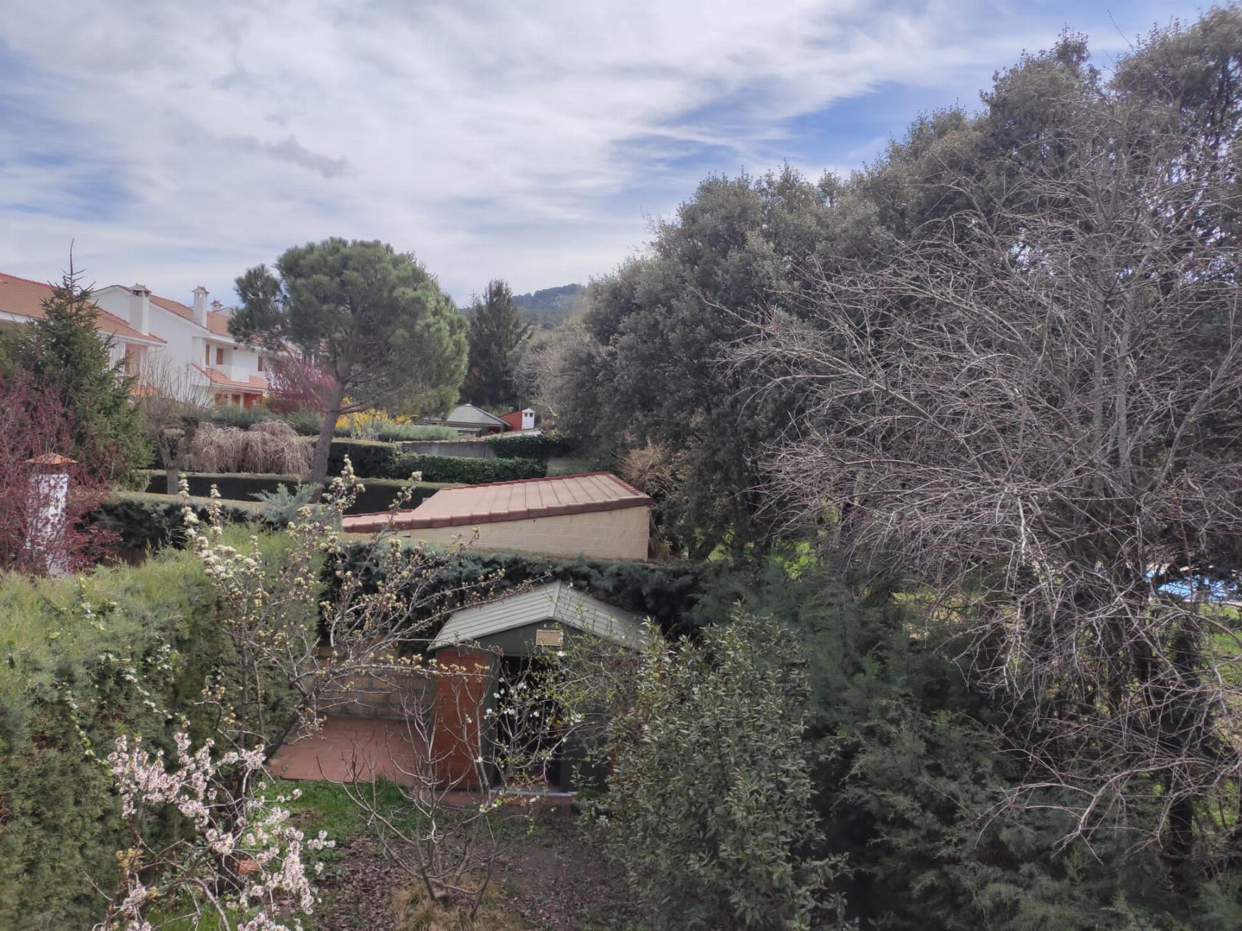For sale of chalet in Moralzarzal