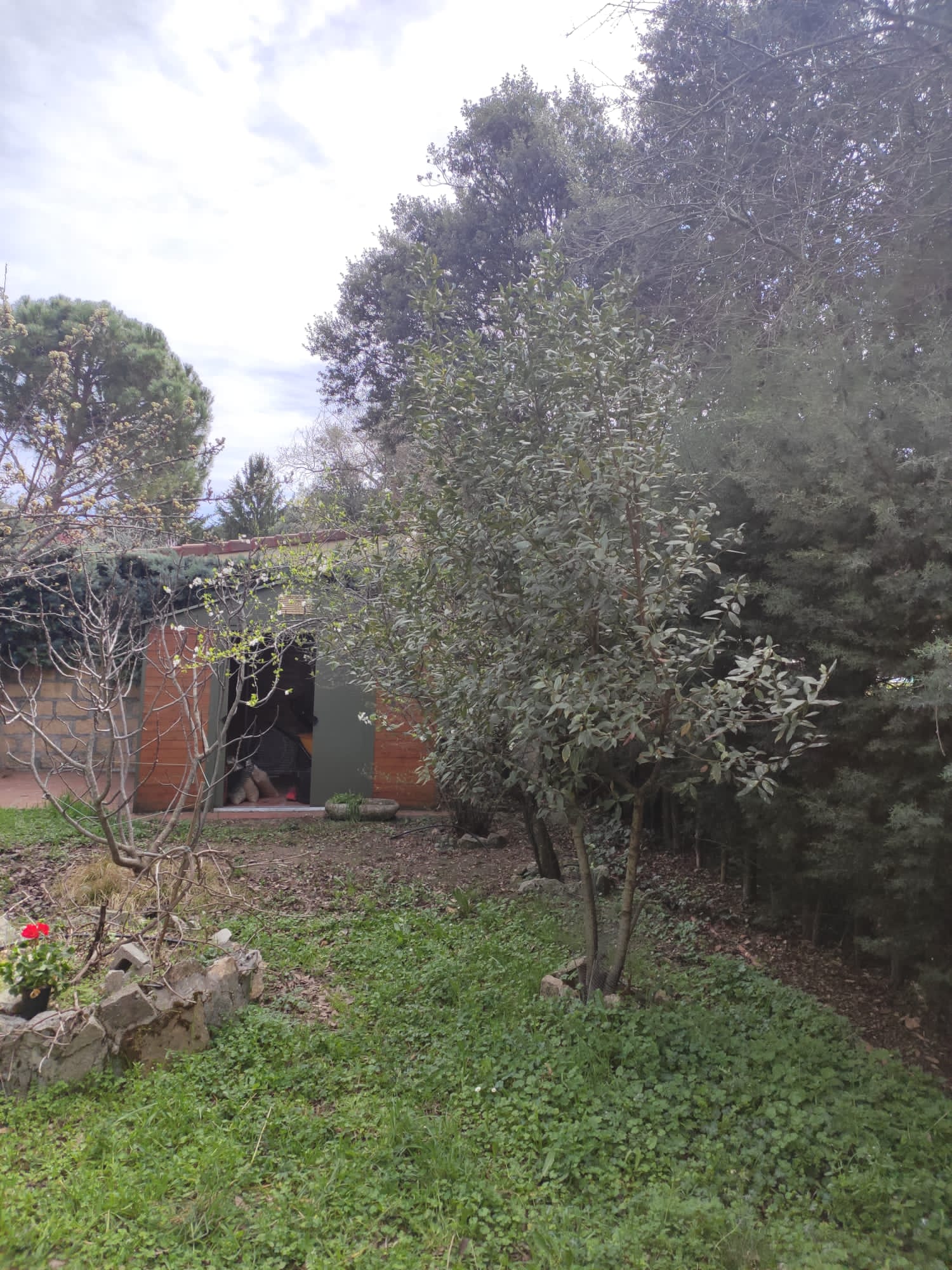 For sale of chalet in Moralzarzal