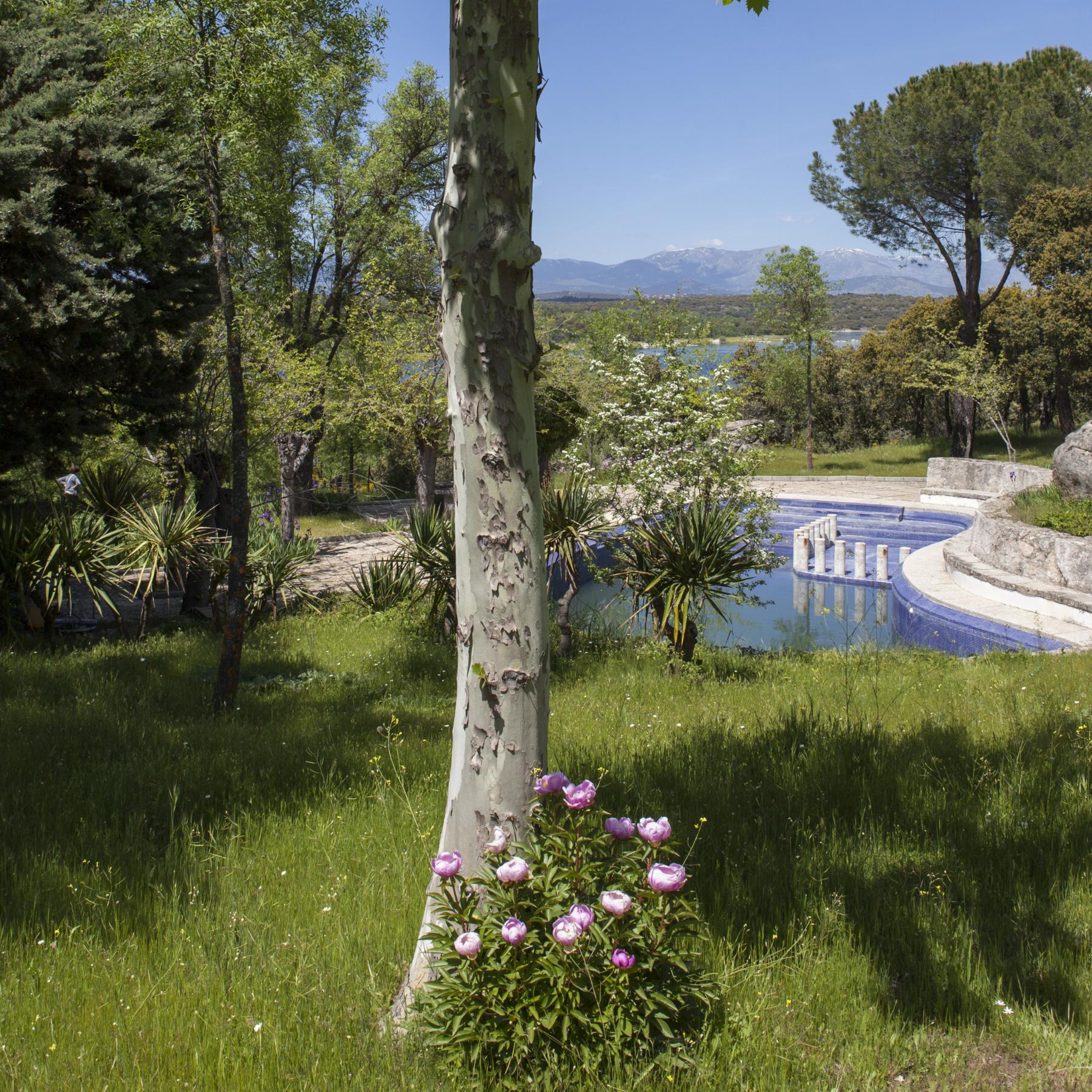 For rent of house in Valdemorillo